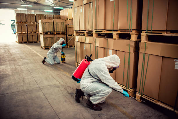 Best Residential Pest Control  in Vilonia, AR