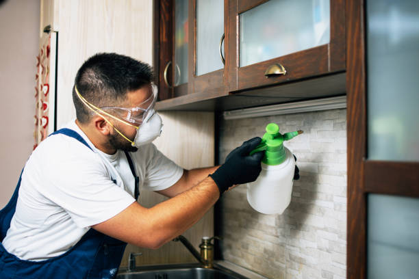 Best Best Pest Control Companies  in Vilonia, AR
