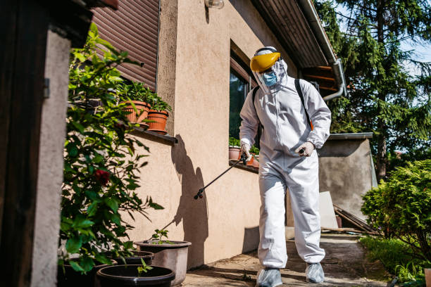 Wasp Removal Services in Vilonia, AR