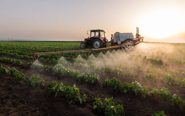 Best Commercial Pest Control Services  in Vilonia, AR