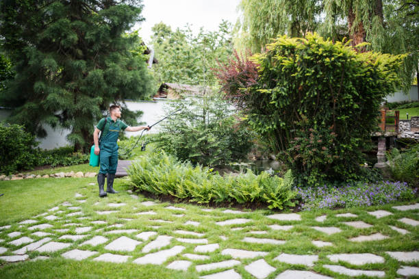 Best Wasp Removal Services  in Vilonia, AR