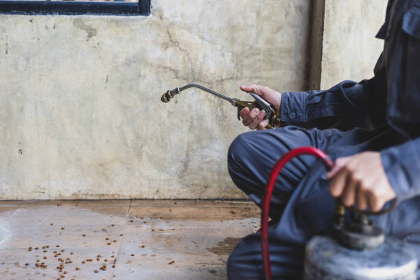 Best Best Pest Control Near Me  in Vilonia, AR