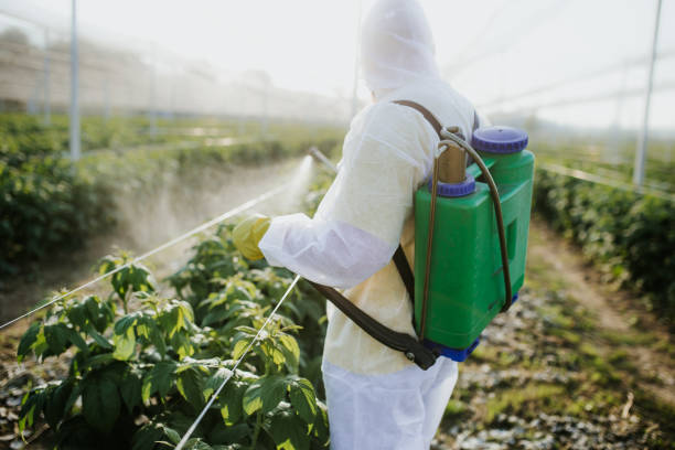  Vilonia, AR Pest Control Pros